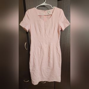 Pink linen dress Chadwicks Classics lined straight size 6